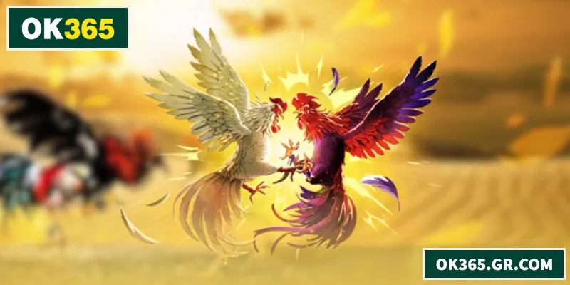 Đá Gà OK365 – Trải Nghiệm Kịch Tính Cho Người Chơi